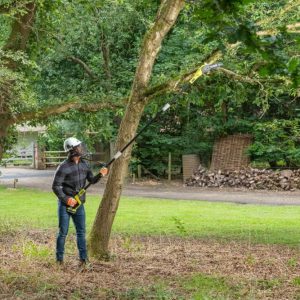 RYOBI 18 V ONE+ Akku-Hochentaster RPP182020