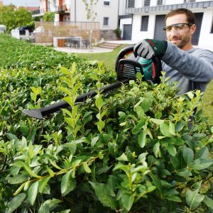 Bosch Akku Heckenschere AHS 50-20 LI