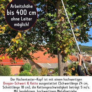 Grizzly Akku Teleskop Hochentaster AKS 2040-20 T