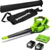 Greenworks GD24X2BVK4X Akku Laubsauger / Laubbläser