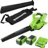 Greenworks GD40BVK2X Akku Laubsauger / Laubbläser