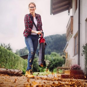 Einhell Akku-Laubsauger Laubbläser GE-CL 36