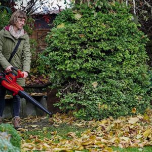 Einhell Akku-Laubsauger GE-CL 36/230 Li E-Solo Power X-Change