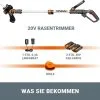 WORX WG163E Akku Rasentrimmer 20V