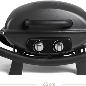 BURNHARD 2-Brenner Gasgrill WAYNE – Tragbarer Balkongrill