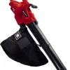 Einhell Elektro-Laubsauger GC-EL 3024 E