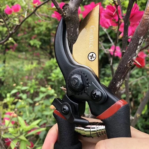 Gonicc Gartenschere Titan beschichtete Rebschere (GPPS-1003)