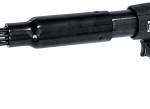 BGS 6230 | Druckluft-Nadelentroster