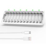 12 Fach Akku Ladegerät AA AAA, Dlyfull Batterieladegerät für AA AAA NI-MH NI-CD Akkus mit Type C und Micro USB Eingangsport, Schnelle Akkuladegerät mit LED Anzeige für Wiederaufladbar Batterien