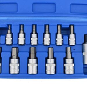 Bitsatz Zollwerkzeug Satz Steckschlüssel zöllig 5/64"-9/16" Innen-Sechskant SAE Bits Bit Set