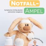 Kinder-Notfall-Ampel: Symptome richtig deuten und sicher reagieren