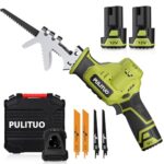 Säbelsäge,PULITUO 12V knochensäge elektrisch mit variabler Drehzahl von 0-2700 RPM,Grüner Akku-Reciprosäge Säbelsäge mit 2 * 2.0Ah Batterien mit 1 Schnellladegerät & 4xSäbelsägeblatt