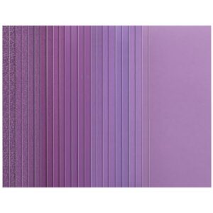 STEBRUAM 24 Stück Schleifpapier 93x230mm 80 bis 2500 Körnungen Nass und Trocken Sandpapier für Auto/Holzmöbel/Stein/Lack/Metall/Glas (Lila)