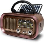 Retro Radio mit mit Solarzelle, AM/FM/SW Klein Radio Batteriebetrieben und Küchenausführung 1200mAh Akku/D-Zellen Betrieb Tragbares Multimediasystem mit USB/TF-Kartensteckplatz & TWS Funktion