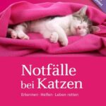 Notfälle bei Katzen: Erkennen Helfen Leben retten