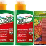 Roundup Express Konzentrat - 2x 400 ml - Unkrautvernichter zur Bekämpfung von Moos und Unkräutern