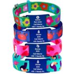 TAGGIE® SOS-Armband personalisiert – Notfallarmband für Kinder mit Gravur – ID-Armband mit Telefonnummer, Adresse & medizinischen Hinweisen – Verstellbar & kindgerecht