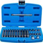 BGS 5013 | Bit-Satz | Antrieb Außensechskant 10 mm (3/8") | Keil-Profil (für Ribe) | 22-tlg.