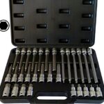 Innen-Sechskant Steckschlüssel-Set 5-19 mm - 30tlg. S2-Stahl Bitsatz mit +15 % Festigkeit - 55-200 mm Länge - 1/2" Antrieb - für Industrie & Werkstatt - PeTools