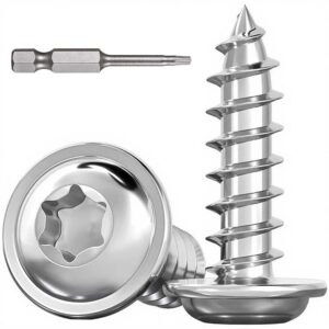 Dayalo 30 Stück Blechschrauben Torx M4 x 16mm, Blechschrauben Edelstahl A2 V2A, Linsenkopfschrauben Holz, Selbstschneidende Schrauben mit Scheibe, mit Schraubendreher Bit, Vollgewinde
