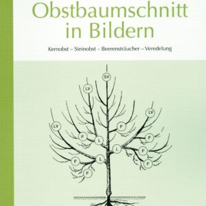 Obstbaumschnitt in Bildern: Kernobst - Steinobst - Beerensträucher - Veredlung (Arbeitshefte für die Gartenpraxis)
