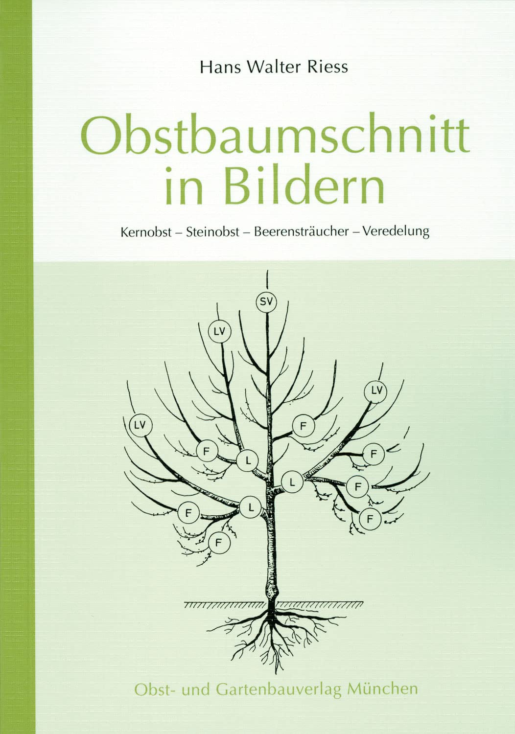 Obstbaumschnitt in Bildern: Kernobst - Steinobst - Beerensträucher - Veredlung (Arbeitshefte für die Gartenpraxis)