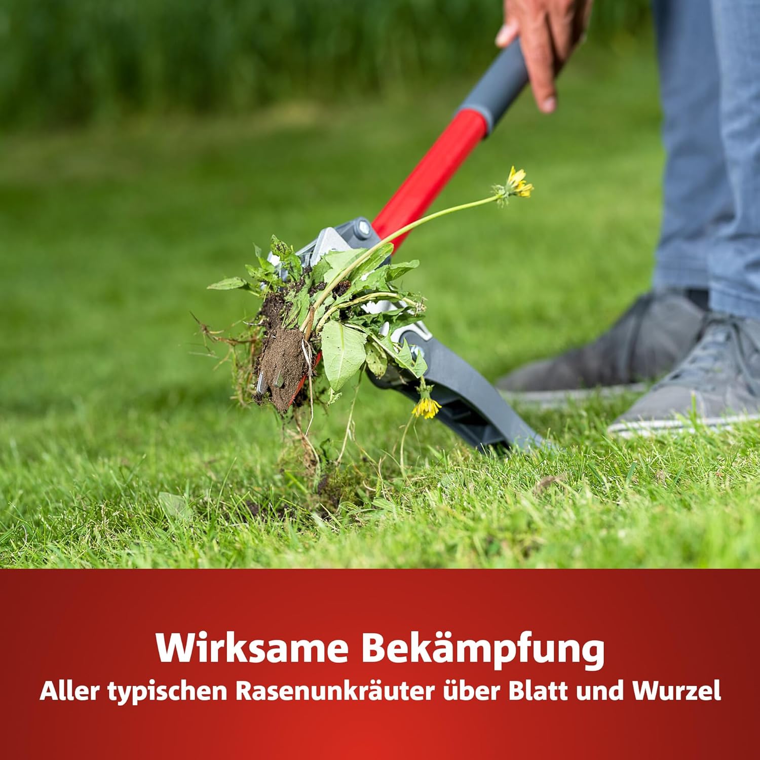 WOLF-Garten 2-in-1: Unkrautvernichter + Rasendünger SQ 200 (Rasendünger und Unkrautvernichter, wirkt über Blätter und Wurzeln, Wirkung bis zu 100 Tagen, ausreichend bis 200 m2) 3840725 – Bild 3