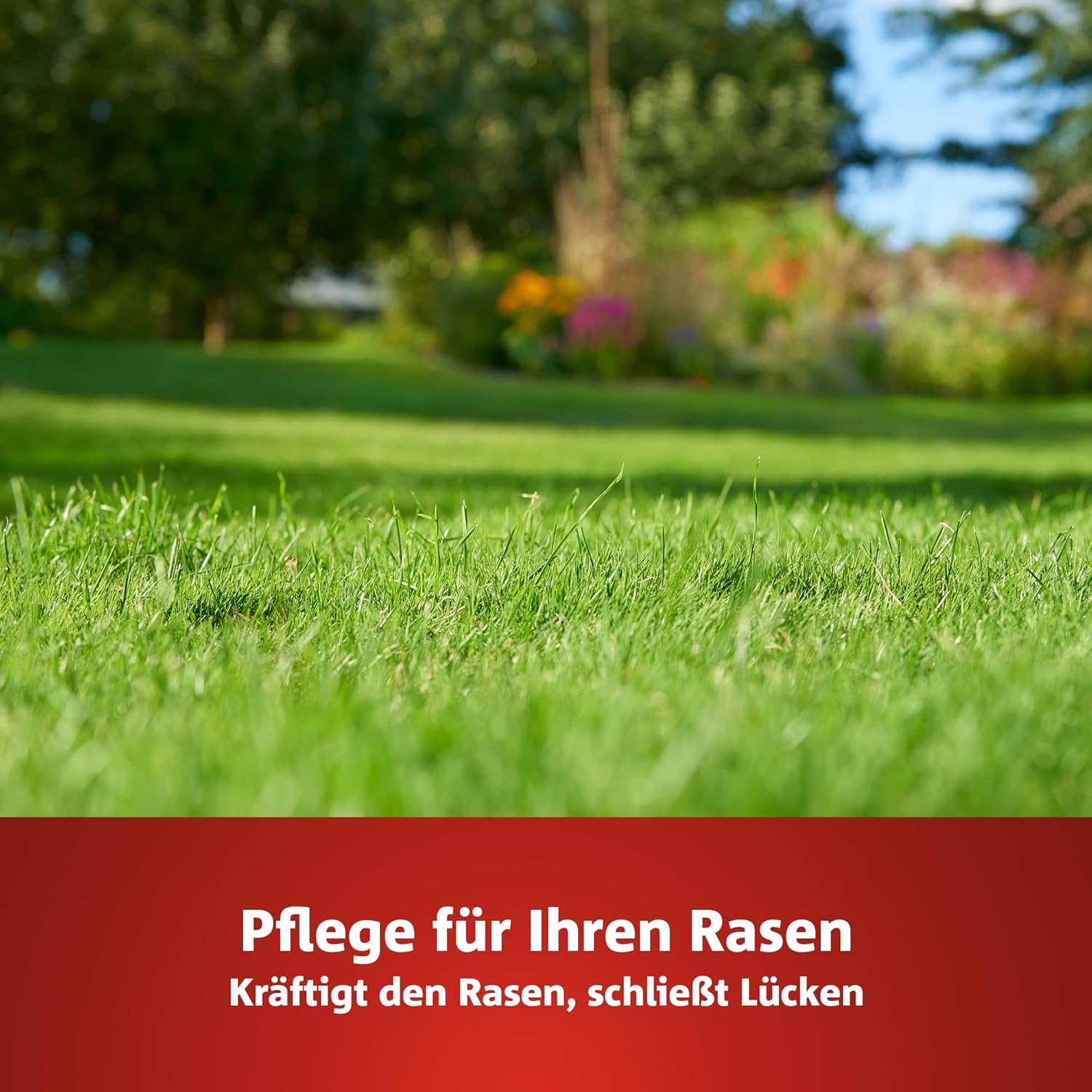 WOLF-Garten 2-in-1: Unkrautvernichter + Rasendünger SQ 200 (Rasendünger und Unkrautvernichter, wirkt über Blätter und Wurzeln, Wirkung bis zu 100 Tagen, ausreichend bis 200 m2) 3840725 – Bild 4