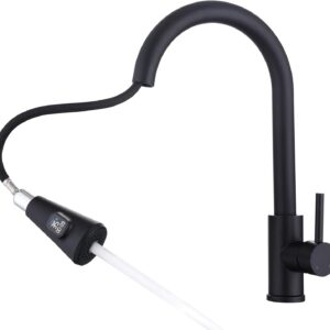 HOMELODY Wasserhahn Küche Schwarz mit LED Temperaturanzeige, Küchenarmatur Ausziehbar, Hochdruck Mischbatterie Spültischarmatur aus Edelstahl mit 2 Strahlarten, Einfache Installation
