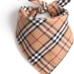 Hund Bandanas Dreieck Lätzchen Baumwolle Schal Rot Kariert Gedruckt Für Welpen Kleine Und Mittlere Heimtierbedarf