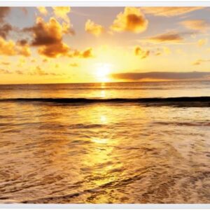 Heidenfeld Infrarotheizung HF-HP105 | 𝟭𝟬 𝐉𝐀𝐇𝐑𝐄 𝐆𝐀𝐑𝐀𝐍𝐓𝐈𝐄 - 1000 Watt - Bis 25 m² - Infrarot Heizkörper - Elektroheizung mit Thermostat - Überhitzungsschutz (1000 Watt, Strand)