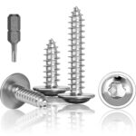 100 Stück Tellerkopf Holzschrauben Torx M3x20mm, Selbstschneidende Schrauben Mit Scheibe,Edelstahl Rostfrei A2 V2A Torx Schrauben Vollgewinde, Holzschrauben, Flachkopfschrauben mit T10 Bohre