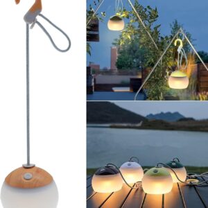 LED Campinglampe, 320 Lumen, 3 Lichtmodi, 2 Farben, 4000mAh Notstrombank, IPX5 Wasserdichte Camping Laternen USB C Wiederaufladbare LED Campinglampe für Camping, Wandern, Notfall (Holzmaserung)