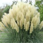 Garten- & Landschaftsbau-Materialien