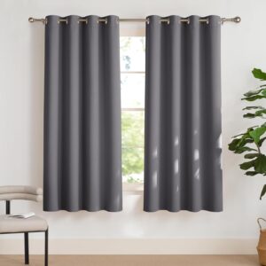 PONY DANCE Verdunklungsvorhänge mit Ösen für Wohnzimmer Thermovorhang Hitzeschutz 2er Set H 175 x B 140 cm Grau, Wohnzimmer Vorhänge Fenster Kurz Blickdicht Bedroom Curtains Blackout