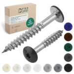 DSM | Trespo Fassadenschrauben 4,8 x 38 mm | Anthrazit RAL 7016 | Edelstahl A2 | Flachrundkopf mit TX-Antrieb | selbstschneidend & korrosionsbeständig | Holzbauschrauben für HPL Platten | 100 Stück