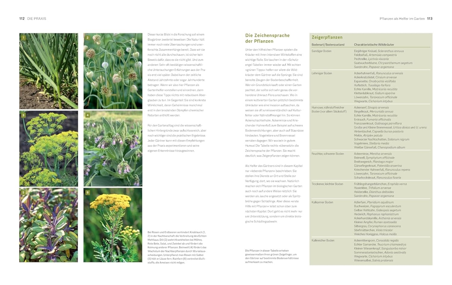 Der Biogarten: Das Original – Bild 5