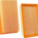 2 Filter für Bosch Gas 35 L,M SFC,AFC Professional Staubsauger, Flachfaltenfilter für NT 25/1 Ap