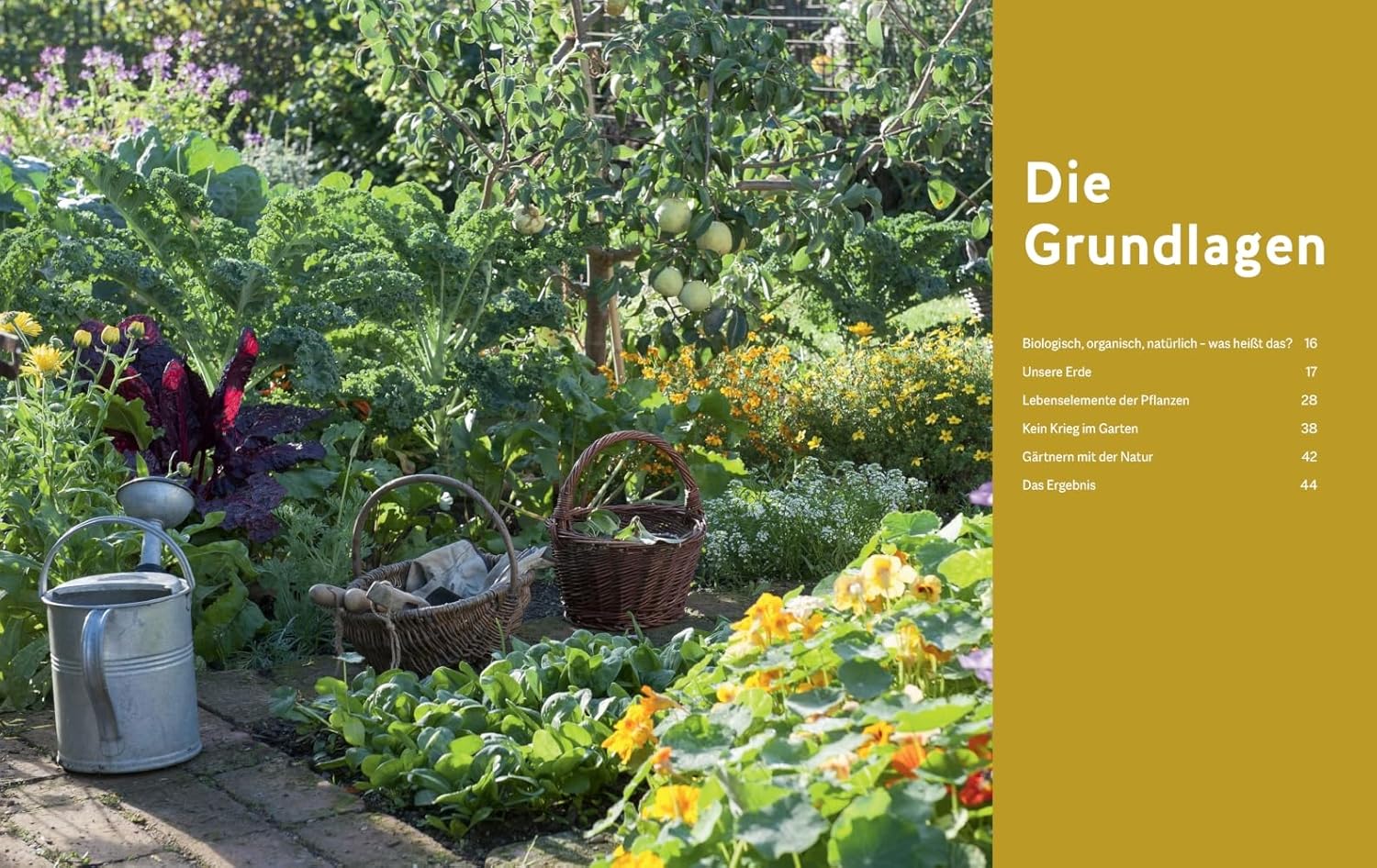 Der Biogarten: Das Original – Bild 4