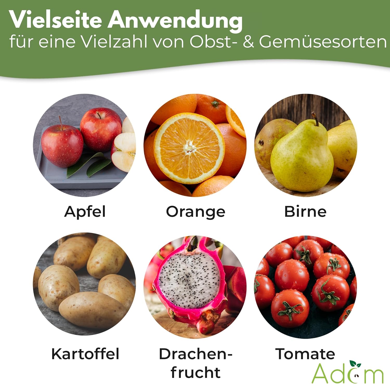 Adam Profi Edelstahl Apfelteiler, Küchenwerkzeug für Obstzubereitung, 12-teiliges Schnittmuster, langlebig, vielseitig und einfach zu reinigen (Apfelschneider) – Bild 3