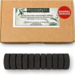 Chlorophilla Räucherkohle zum Räuchern (100 Stücke) - Schnellentzündung - Umweltfreundliche Weihrauchkohle, hochwertige Pflanzenkohle, 100% natürlich für Körner und Harze
