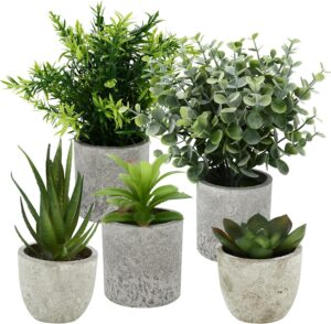 5 Stück Kunstpflanze, Mini Künstliche Pflanzen Schlangenzunge, Agave Sukkulente, Eagle Claw Aloe, Künstliche Pflanzen für Schlafzimmer Büro Dekoration