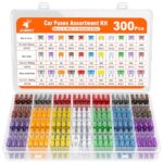 JOREST 300Pcs Kfz Sicherung Set, 160 Mini Flachsicherungen + 90 Standard Sicherungen + 50 Micro Sicherungen +1 Sicherungszieher - für PKW/Wohnmobil/LKW (2Ampere 3A 5A 7.5A 10A 15A 20A 25A 30A 35A 40A)