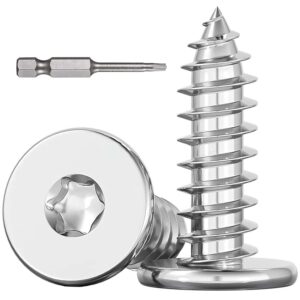 Dayalo 100 Stück Holzschrauben Torx M4x16mm, Flachkopfschrauben Holz, Edelstahl A2 V2A, Selbstschneidende Torx Schrauben, Vollgewinde, mit Schraubendreher Bit, für Holzverbindungen
