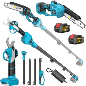 8 Zoll Mini Kettensäge & Akku Elektro Gartenschere 4-in-1 Gartenwerkzeug Set,Mit 2×4.0ah Akku,VerläNgerungsstange Bis 4.2m,BüRstenloser Motor,Elektro Hochentaster AstsäGe FüR Baumzweige,