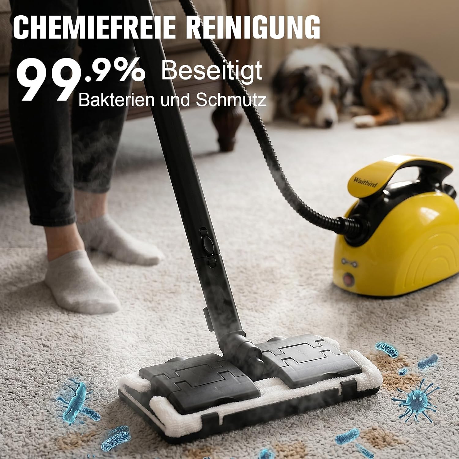 Waitbird Hand-Dampfreiniger für Zuhause, 4,5 Bar, 120 °C Heißdampf, 1500W | 21 Zubehörteile | Chemikalienfrei für Boden, Auto, Wand, Fugen, Küche und Bad | Doppelte Sicherheitsverriegelung 2 Waitbird Hand-Dampfreiniger für Zuhause, 4,5 Bar, 120 °C Heißdampf, 1500W | 21 Zubehörteile | Chemikalienfrei für Boden, Auto, Wand, Fugen, Küche und Bad | Doppelte Sicherheitsverriegelung – Bild 2