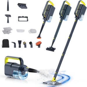 Dampfreiniger mit abnehmbarem Handdampfreiniger