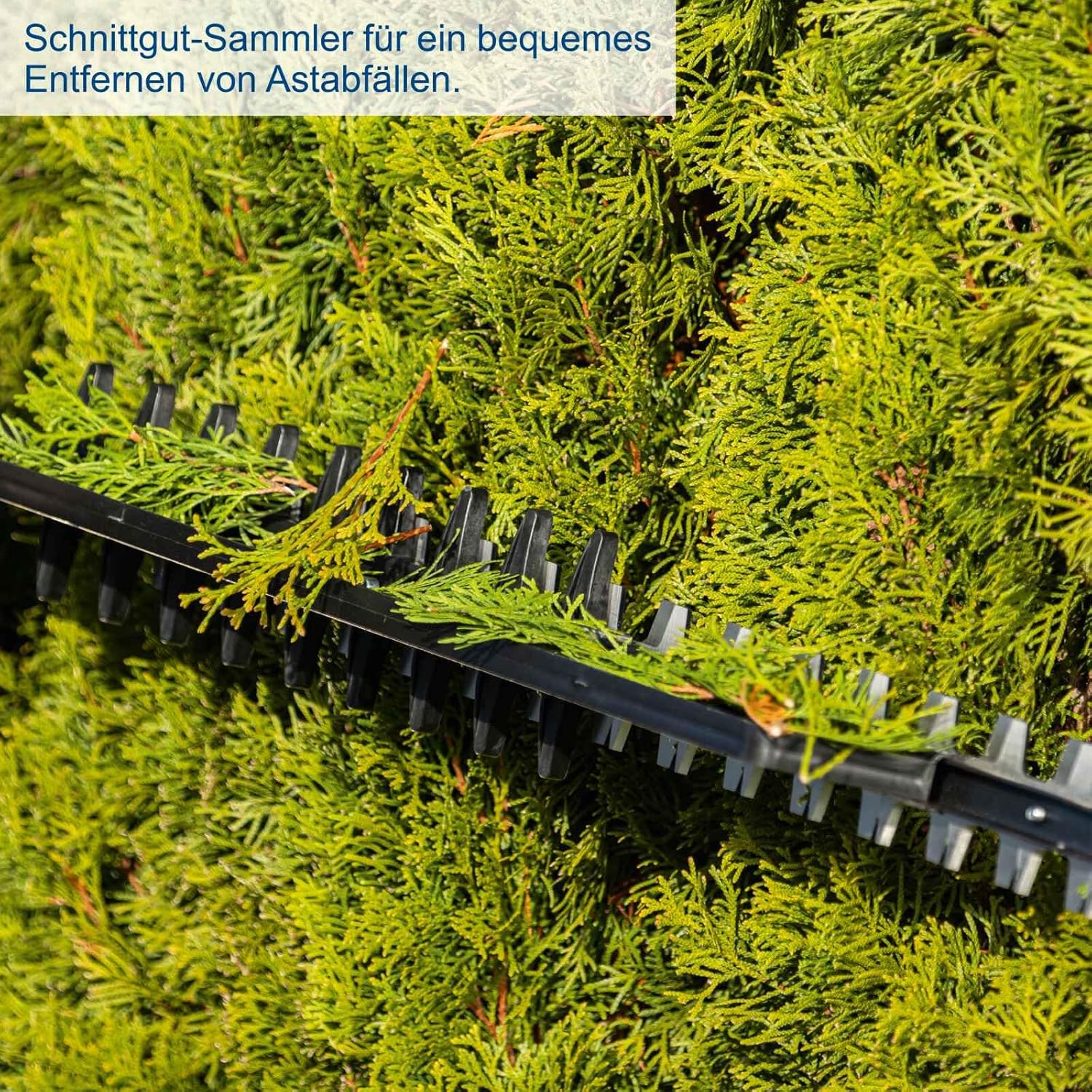 Scheppach Akku Heckenschere BC-HT720-X Heckentrimmer mit Schnittlänge 650mm 5 Scheppach Akku Heckenschere BC-HT720-X Heckentrimmer mit Schnittlänge 650mm – Bild 5