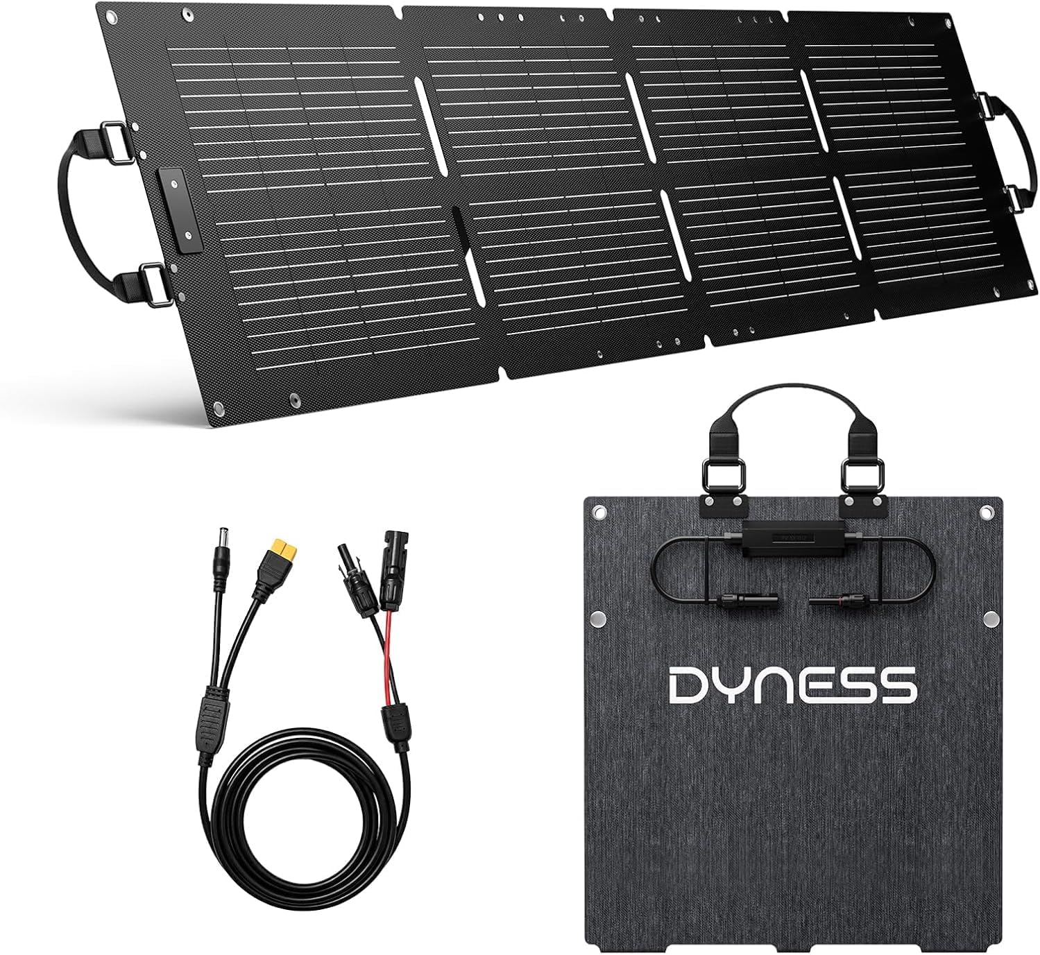 Blackout: 10 Notfall-Helfer, die Du bei einem Stromausfall wirklich brauchst 24 Dyness Solarpanel 100 W